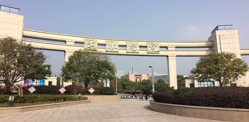 Lishui University